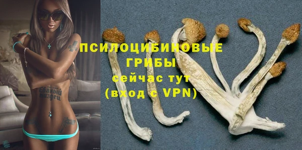 спайс Армянск
